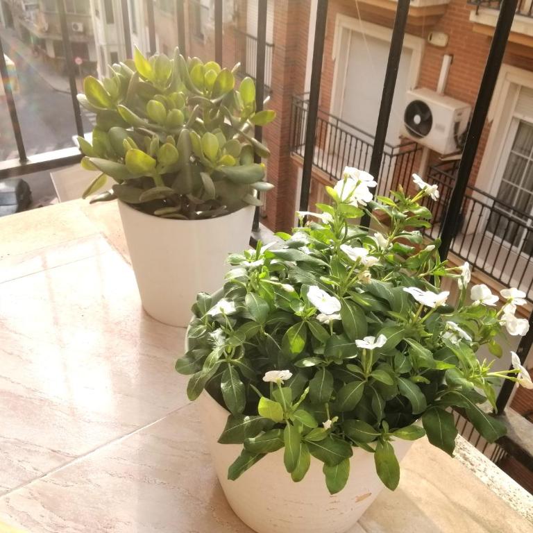 Céntrico Apartamento Vara de Rey - Two-Bedroom Apartment - 8