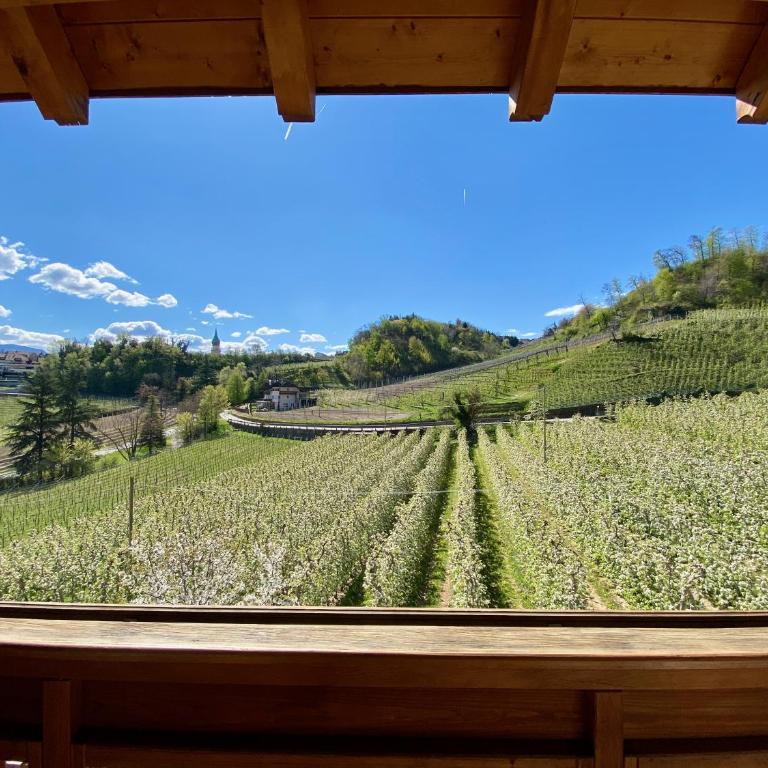 Spiegelhof - Appartamento con 2 Camere da Letto - 8