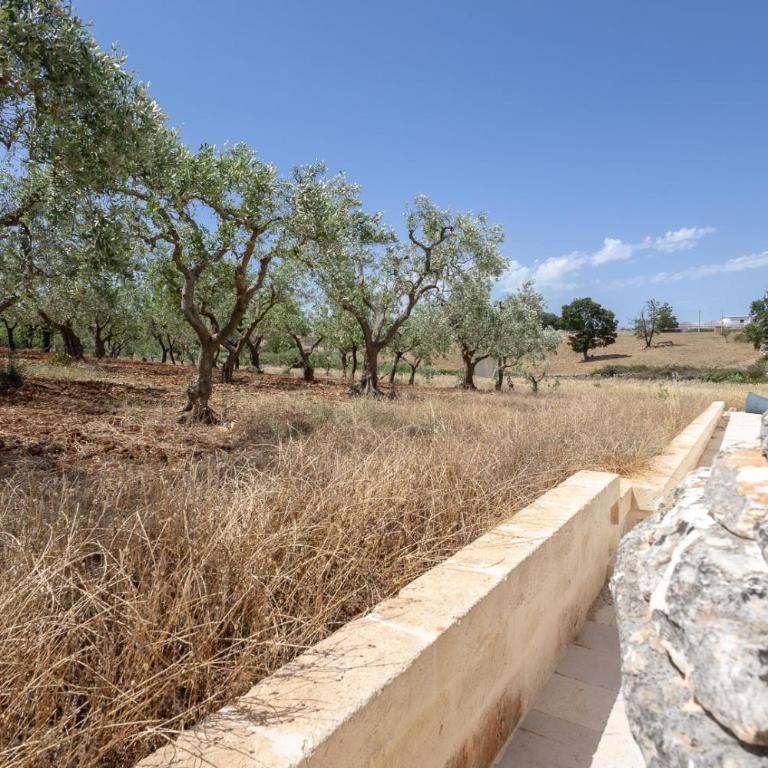 I Trulli di Zoe - Casa con 3 Camere da Letto - 51