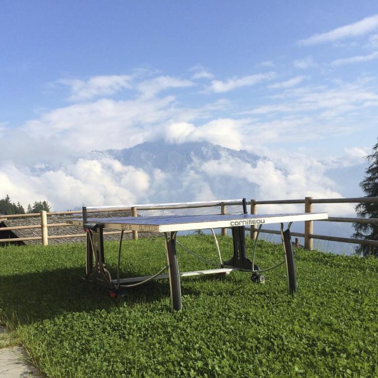 Chalet Alexia - Chalet - 21