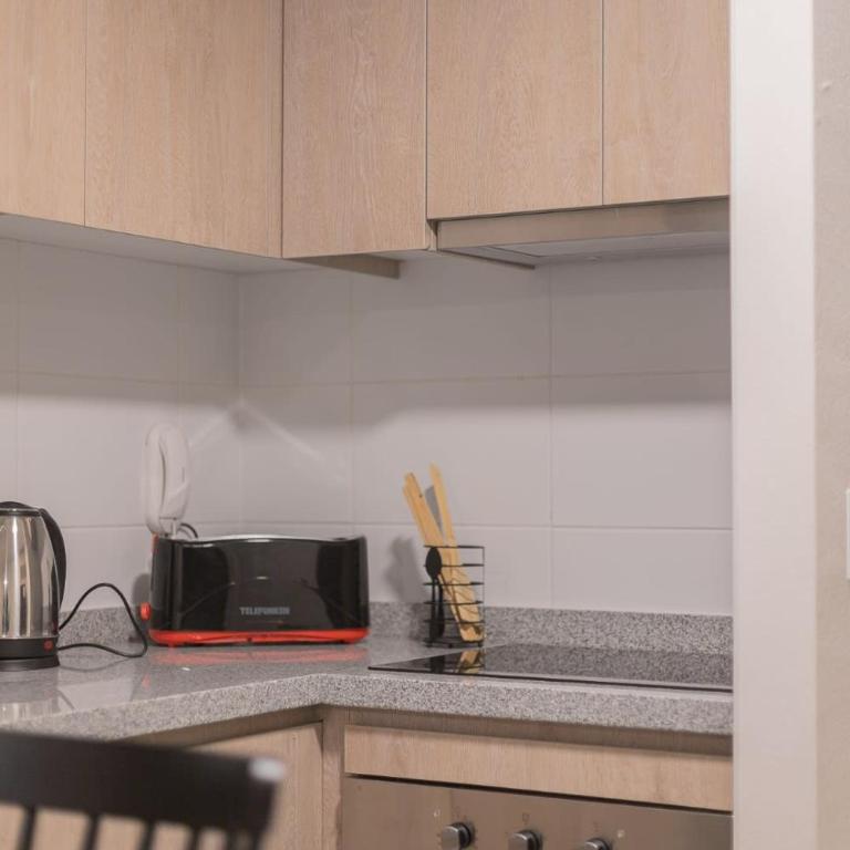 Recorre lo mejor de Santiago desde nuestro hogar - Apartamento - 13