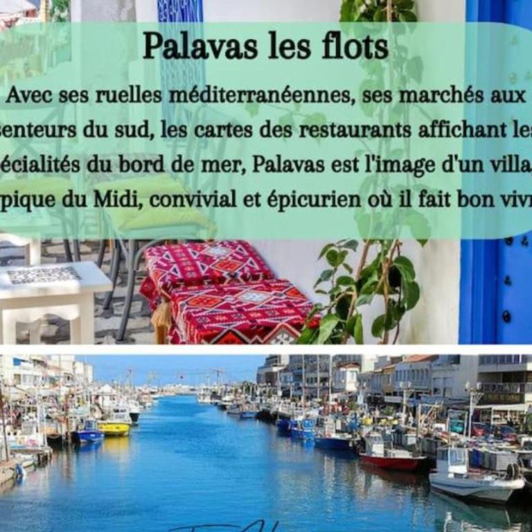 La perle Marine - Appartement 1 Chambre - 21