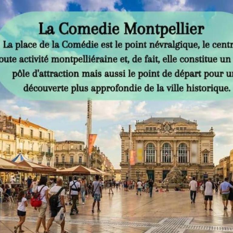 La perle Marine - Appartement 1 Chambre - 23