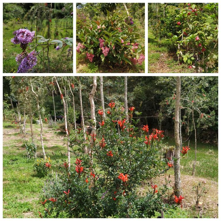 San José de las bromelias - Apartamento de 1 dormitorio - 18