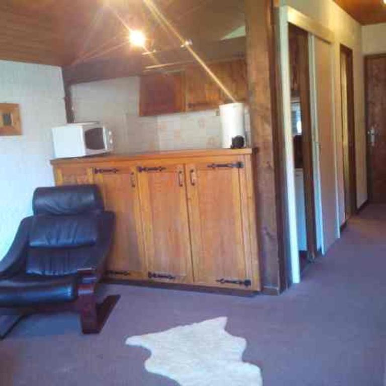 Studio confortable, vue sur le Pleney, parking inclus - FR-1-524-26 - Studio - 2