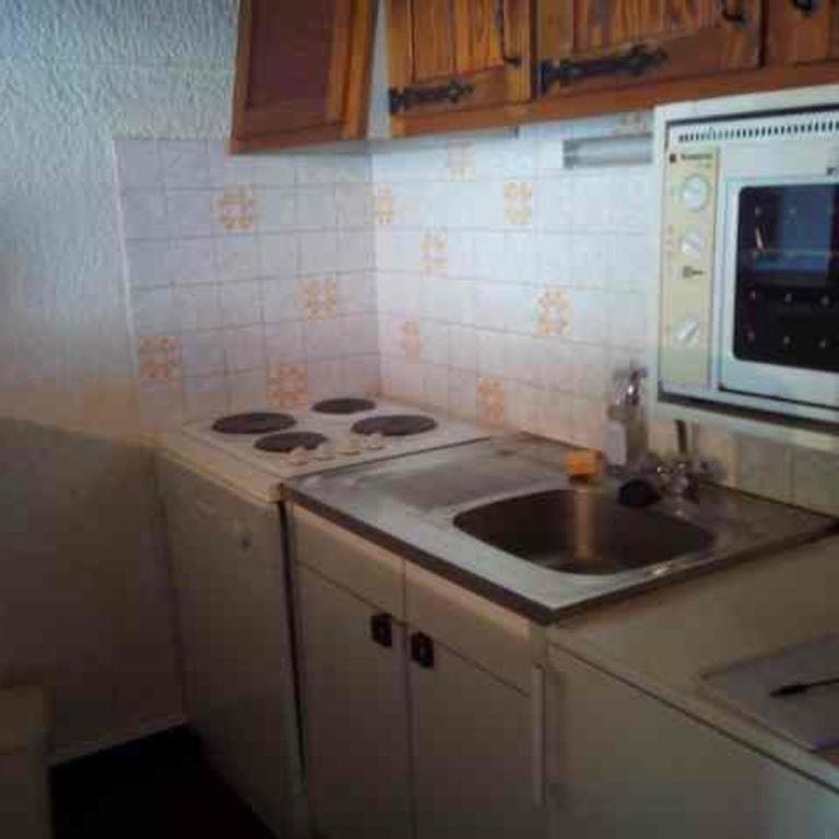 Studio confortable, vue sur le Pleney, parking inclus - FR-1-524-26 - Studio - 4