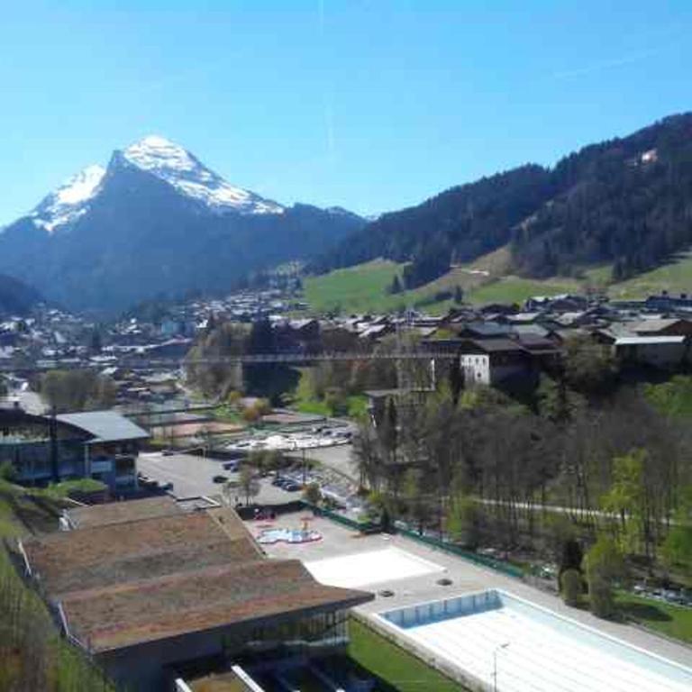 Studio confortable, vue sur le Pleney, parking inclus - FR-1-524-26 - Studio - 8