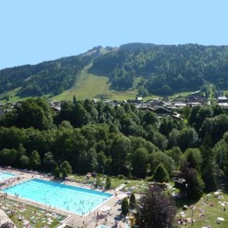 Studio confortable, vue sur le Pleney, parking inclus - FR-1-524-26 - Studio - 10