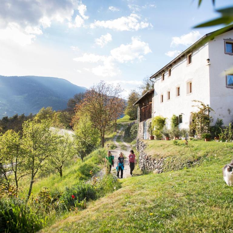 Appartements Riegelehof - Appartamento con 1 Camera da Letto - 48