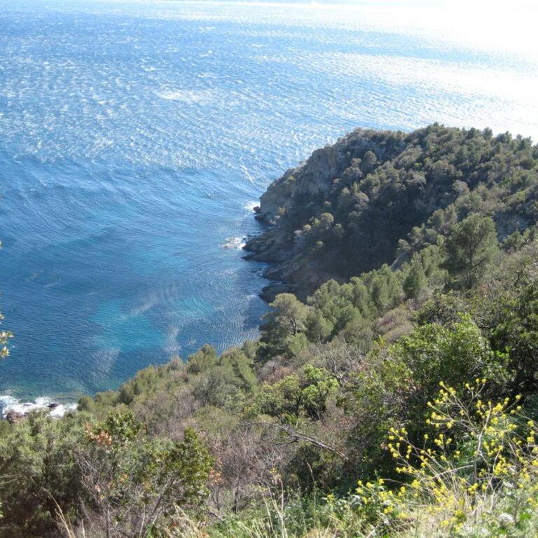 Les Heures Bleues Paradis - Three-Bedroom Vacation Home - 20