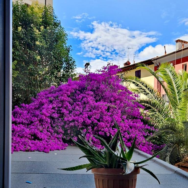 Ancora qui, nel Golfo dei Poeti - Apartamento de 2 dormitorios - 2