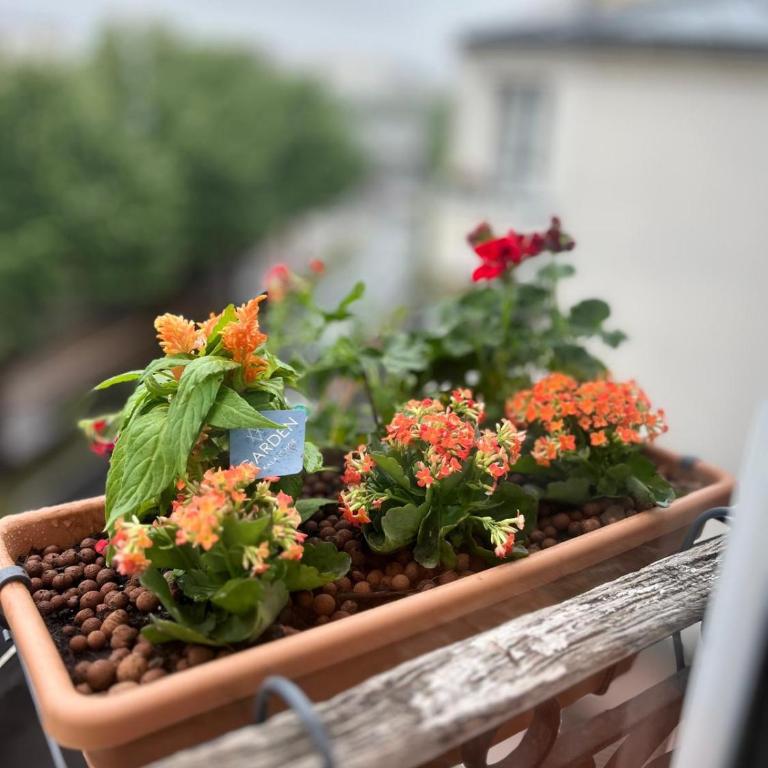 Le Langlier - One-Bedroom Apartment - 28