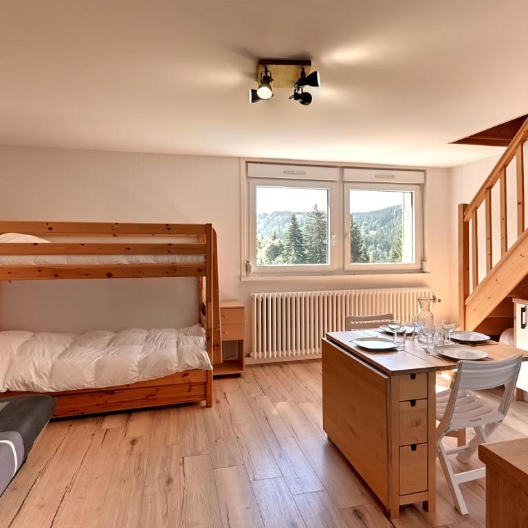 Le Nid des Vosges - Appt vue montagne - Appartement 1 Chambre - 8