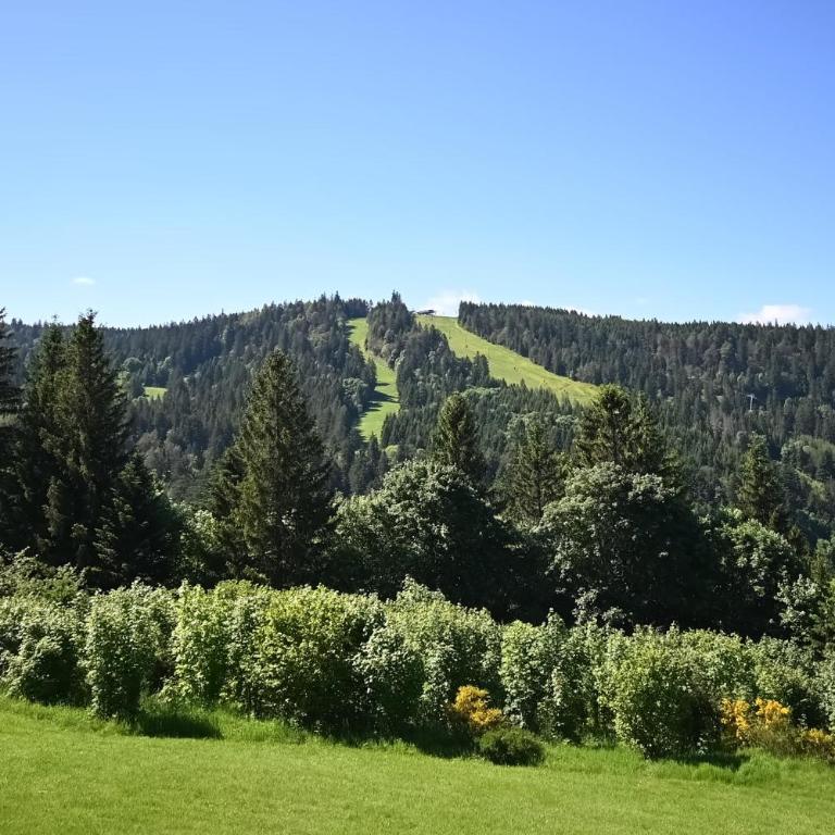 Le Nid des Vosges - Appt vue montagne - Appartement 1 Chambre - 14