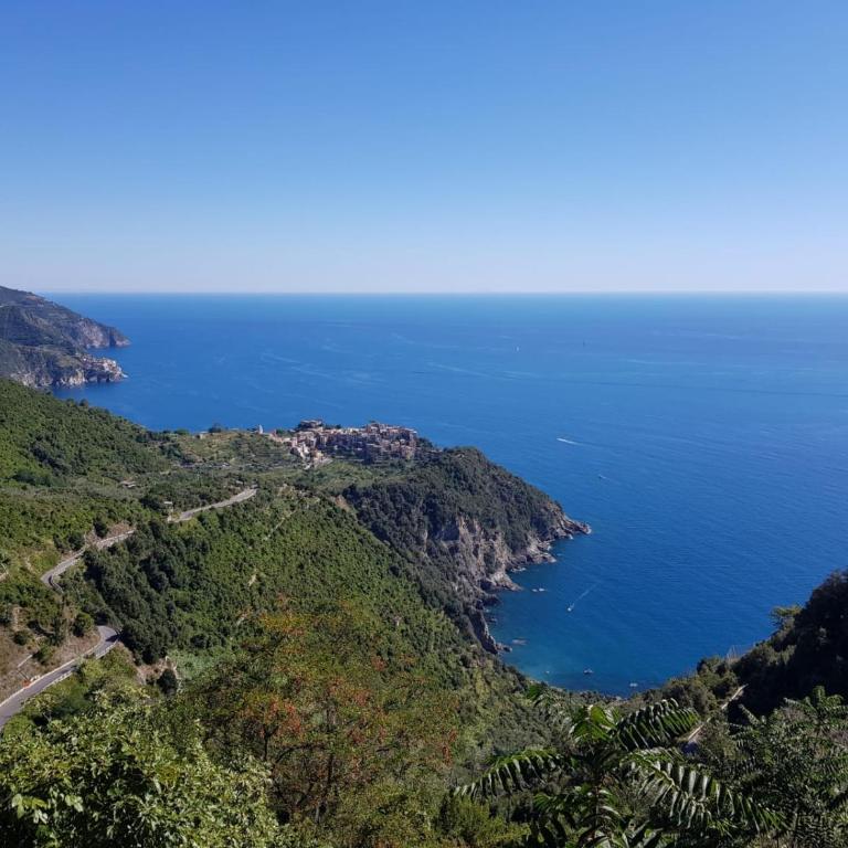 Menta Cinque Terre - Appartamento con 1 Camera da Letto - 1