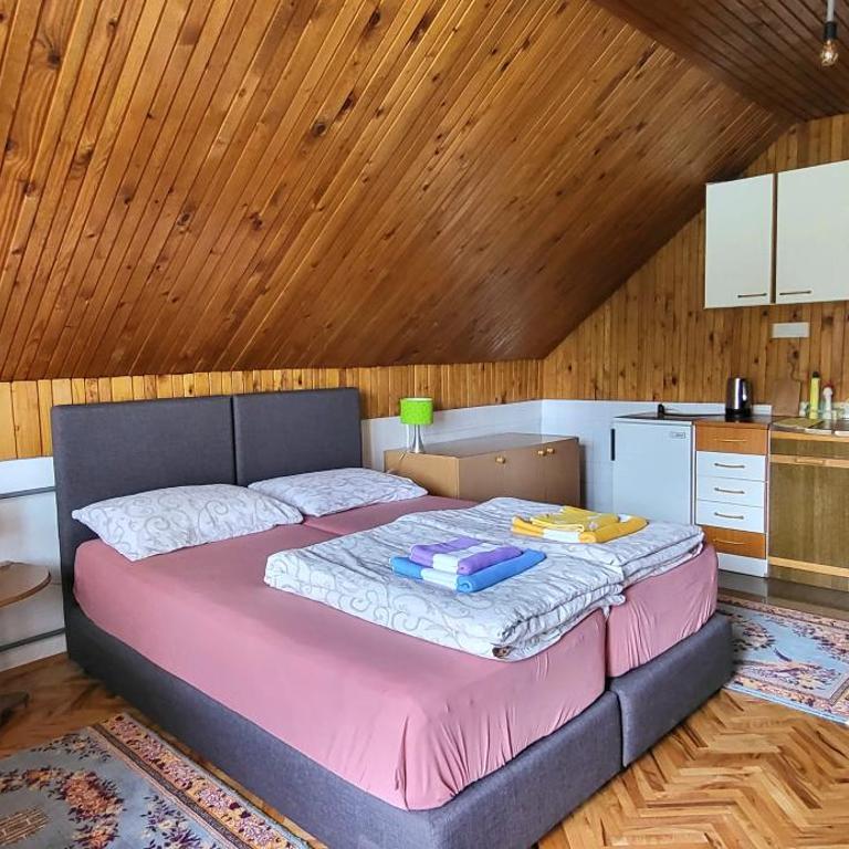 Kozorog Durmitor - Large Double Room - 21