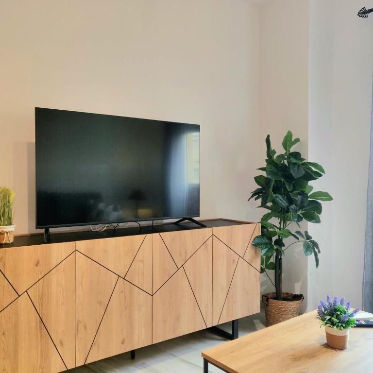 Fantástico apartamento en el centro de Málaga - Three-Bedroom Apartment - 11