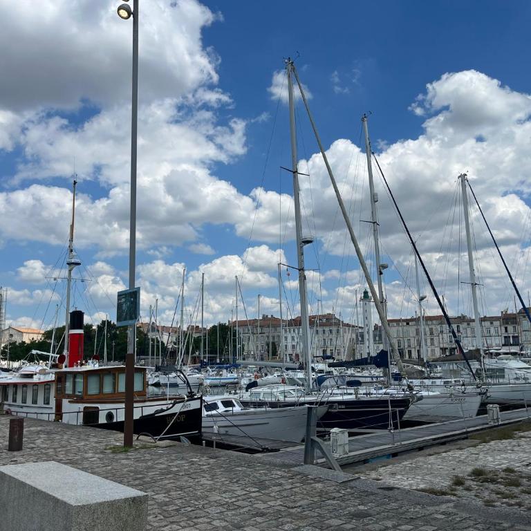 La Tour Saint-Nicolas - Apartamento de 1 dormitorio - 44