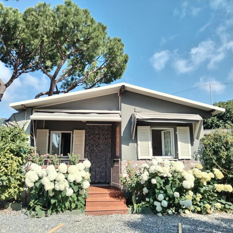 Camping Roma - Bungalow Superior - 4