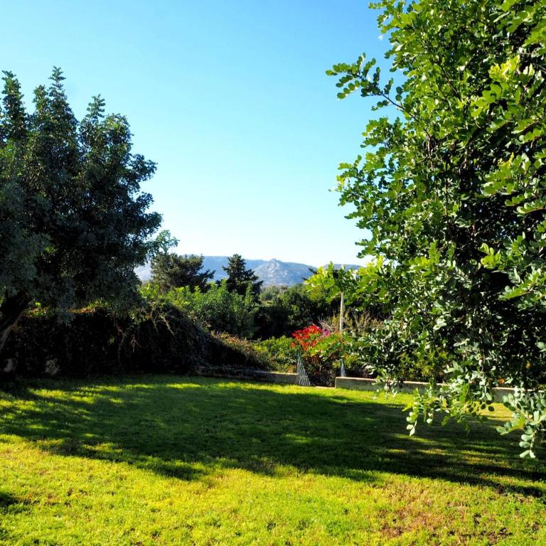 Villa Chicca - Villa con Vista Giardino - 8