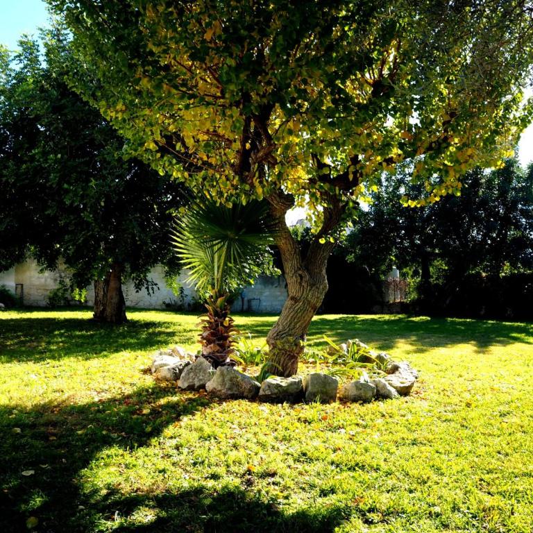 Villa Chicca - Villa con Vista Giardino - 10