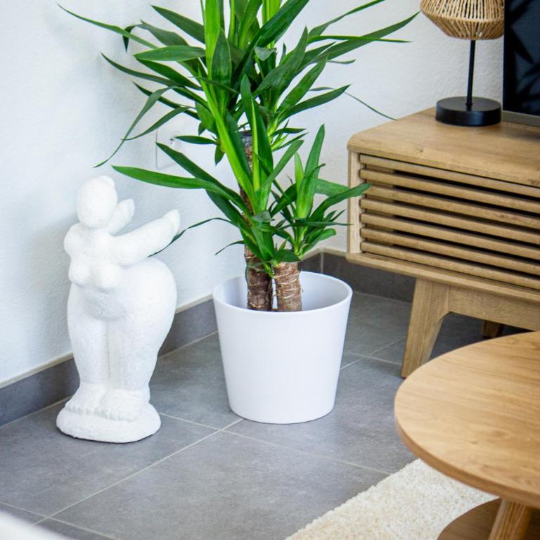LeRooftop - Appartement 1 Chambre - 18