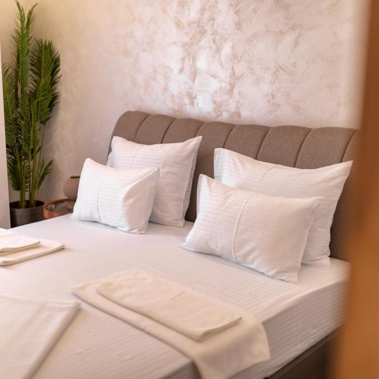 Baba's Hotel & Spa - Velika Dvokrevetna Soba sa Bračnim Krevetom - 1