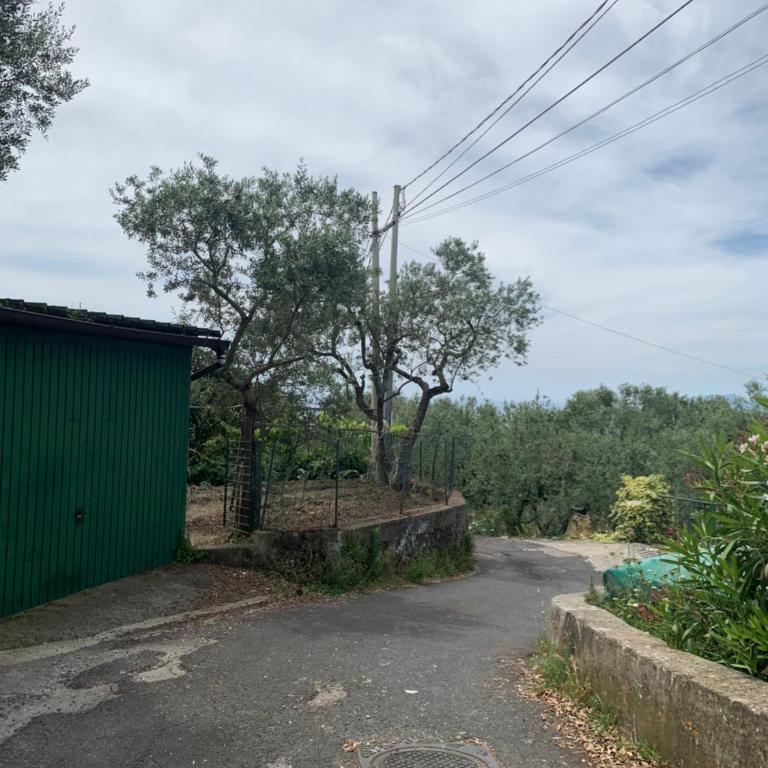 Villa Giulia - Villa con Piscina Privata - 82