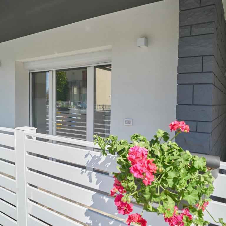 Villa Borghesi Suites Fronte Mare - Monolocale - 4