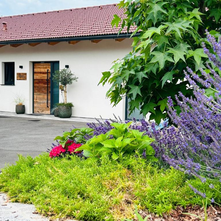 Traumhaus in den Weinbergen - max 8 Personen - mit Self-Check-in - Three-Bedroom Villa - 56