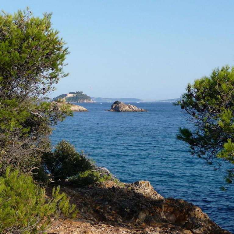 Appartement face à la mer avec parking - Apartamento de 2 dormitorios - 21