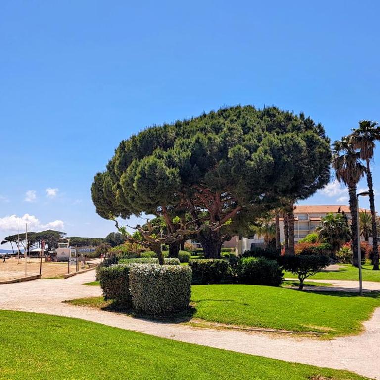 Appartement face à la mer avec parking - Apartamento de 2 dormitorios - 15