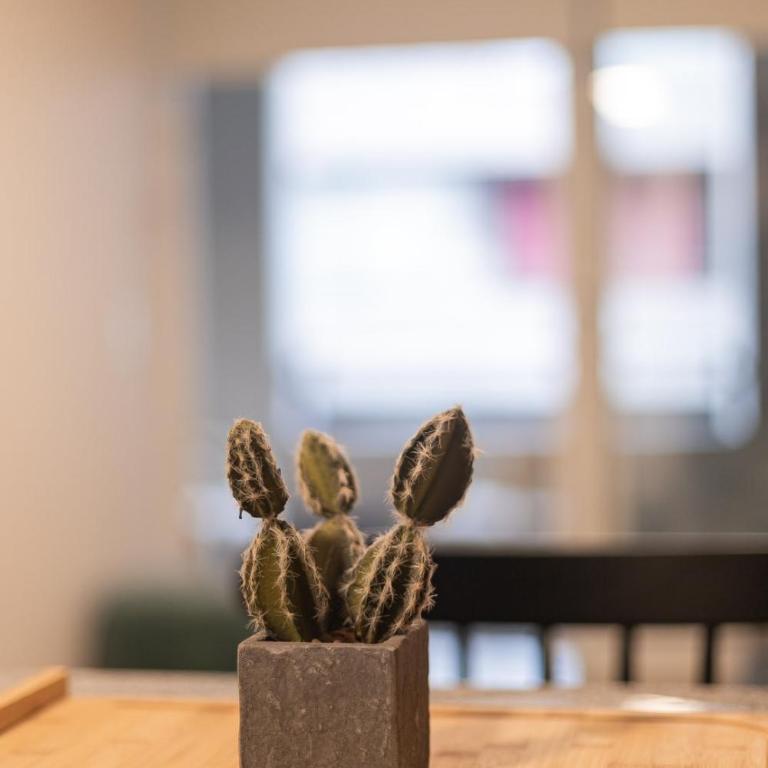 Tu Oasis Urbano en Santiago Centro - Apartamento - 12