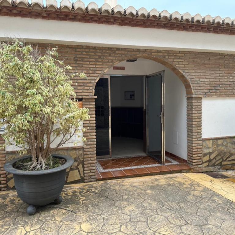 Aida en Marina del Este - Apartamento de 3 dormitorios - 38