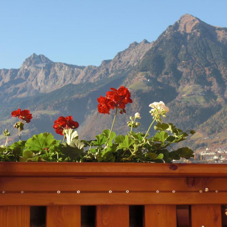 Garni Unterhaslerhof - Chambre Double avec Balcon - 8
