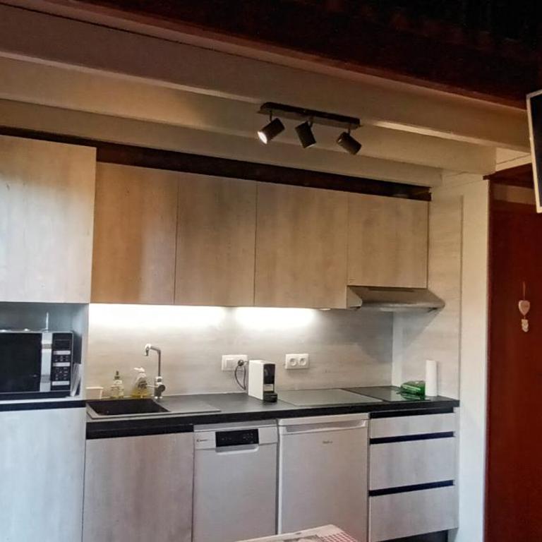 Confortable Chalet Mitoyen - Chalet 2 Chambres - 3