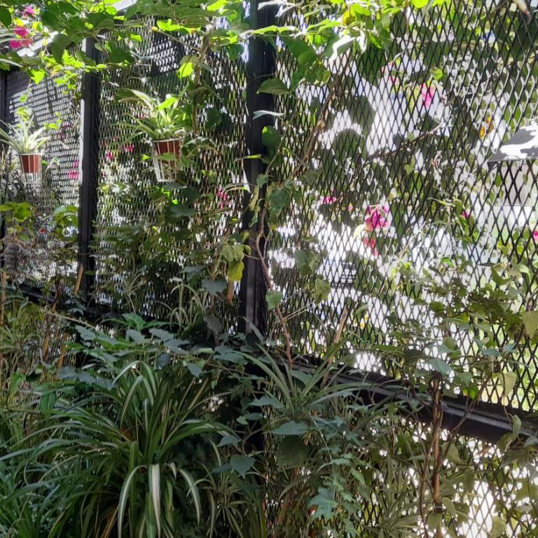 LA CASITA - One-Bedroom Apartment - 18