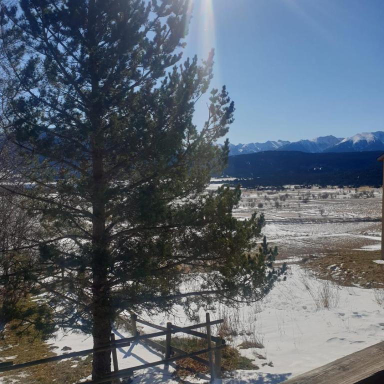 Entre FAUNE, LAC et MONTAGNE - Apartment mit Terrasse - 27