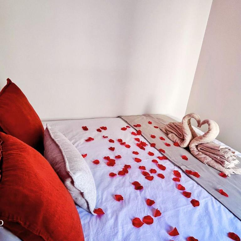 Luxurious Apartment - Seaside - Spa Bath - WiFi - AC - Appartement 1 Chambre - 17
