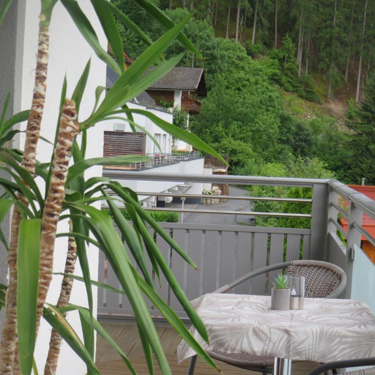 Haus Stefan - Appartamento con 2 Camere da Letto e Balcone - 19