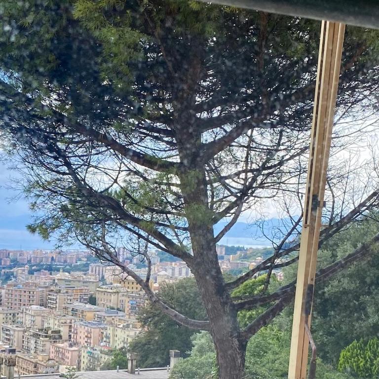 Genoa view & hiking in italian riviera - Appartamento con 2 Camere da Letto - 12