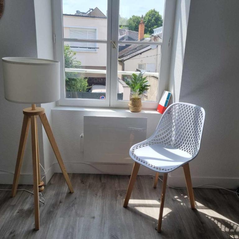 Appartement centre d'Orléans en bord de Loire - Apartment mit 1 Schlafzimmer - 40