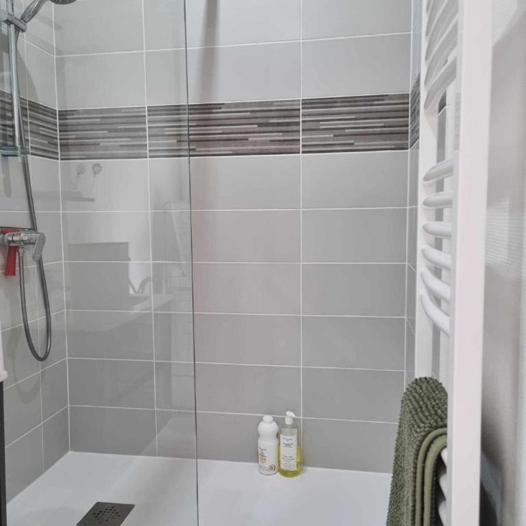 Appartement centre d'Orléans en bord de Loire - Apartment mit 1 Schlafzimmer - 35