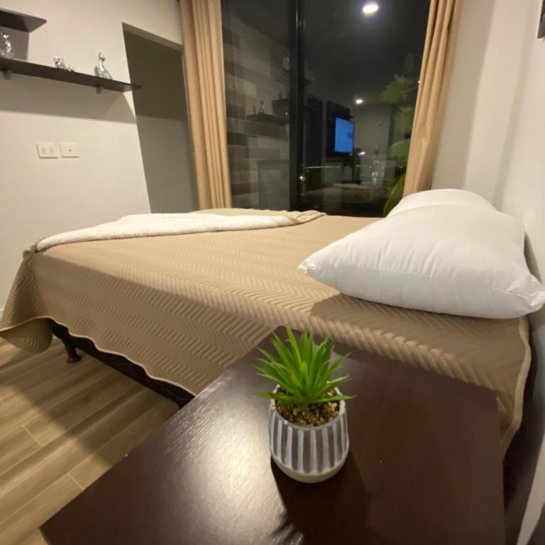 Exclusivo Monoambiente Beni - Apartamento de 1 dormitorio - 30