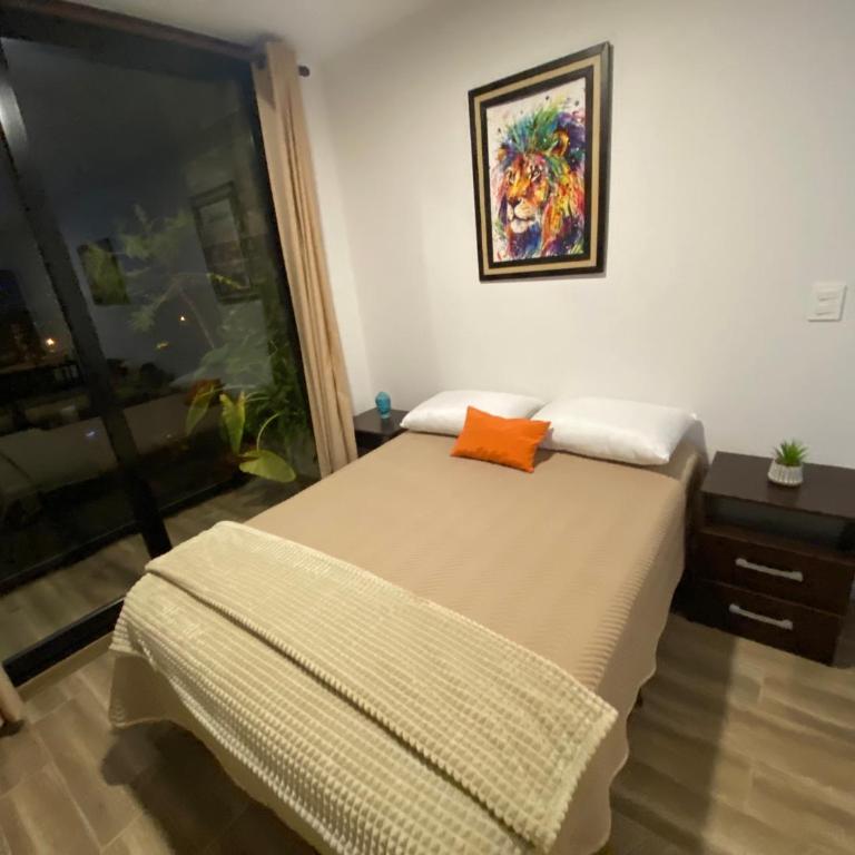 Exclusivo Monoambiente Beni - Apartamento de 1 dormitorio - 34