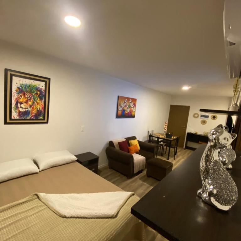 Exclusivo Monoambiente Beni - Apartamento de 1 dormitorio - 52