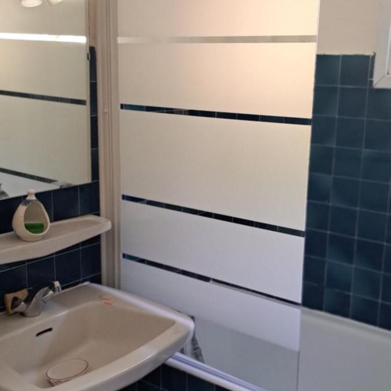 A 50m des cures libre mi septembre joli studio rénové orienté Nord bien ventilé - Appartement 1 Chambre - 61