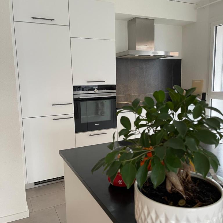 Lake Geneva - Apartment mit 2 Schlafzimmern - 10