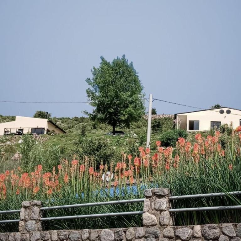 Terrazas del Cerro - Villa de 2 dormitorios - 1