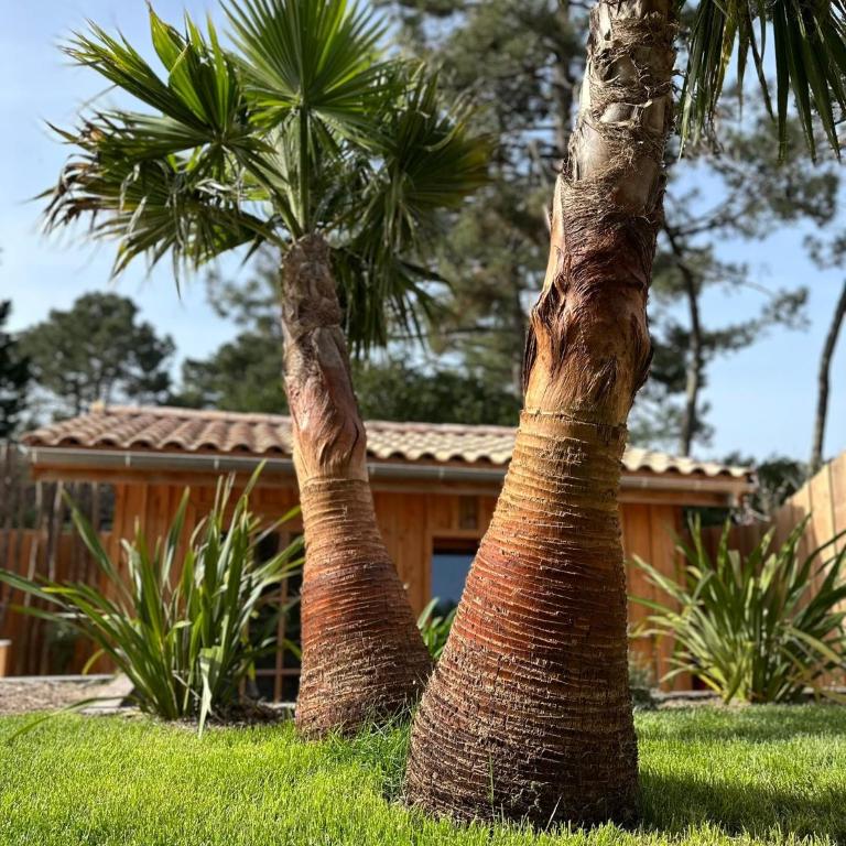 La Villa Les Inséparables - Villa - 32